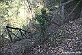 VBS_5641 - C'è un mare di velluto verde! E tu che sognavi di andare lontano... Quanta meraviglia, quì!